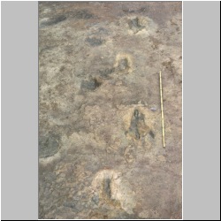 px84b-10-35 dodm.jpg